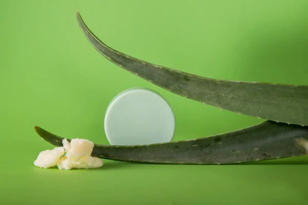 Conditioner Bar - Aloë You Vera Much - Afbeelding 4