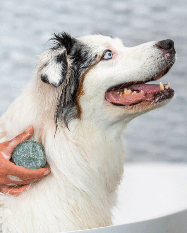 Honden Shampoo Bar – Universeel - Afbeelding 3