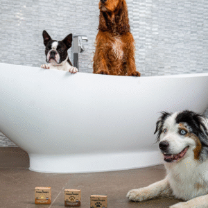 Honden Shampoo Bars