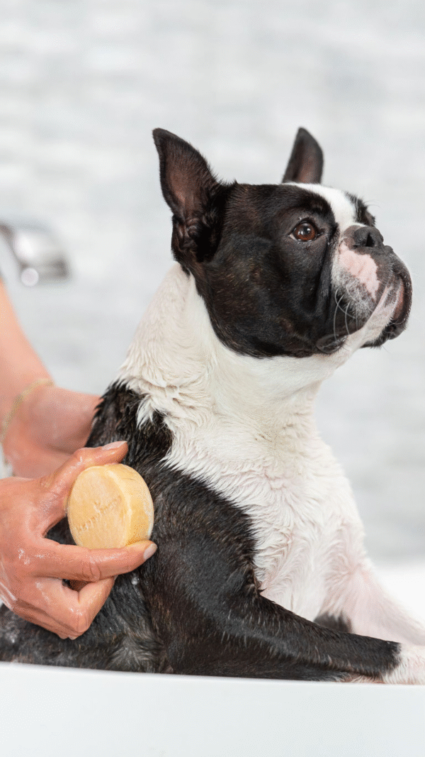 Honden Shampoo Bar – Korte Vacht - Afbeelding 4