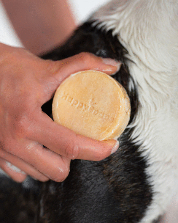 Honden Shampoo Bar – Korte Vacht - Afbeelding 6