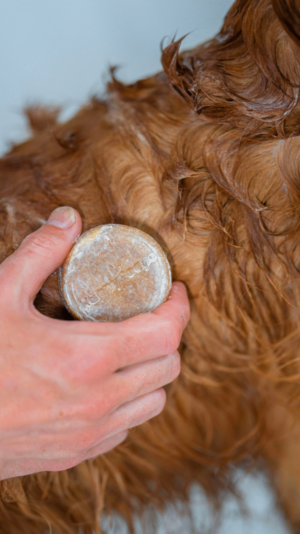 Honden Shampoo Bar – Lange Vacht - Afbeelding 3