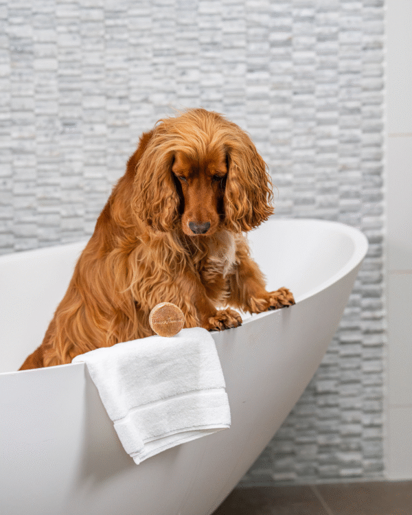 Honden Shampoo Bar – Lange Vacht - Afbeelding 5