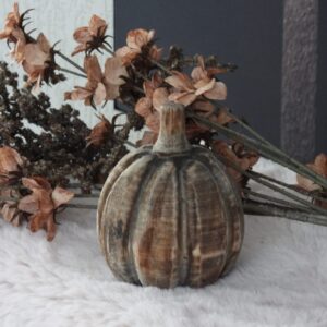 Pompoen bol rond 12 x Ø9cm
