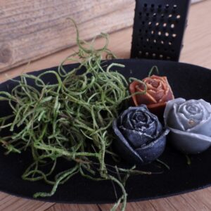 Schaaltje ovaal 9 x 14 x 2,5cm