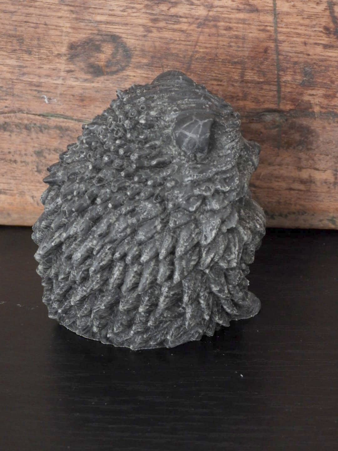 Geurfiguur Egel - 3 varianten - Afbeelding 13