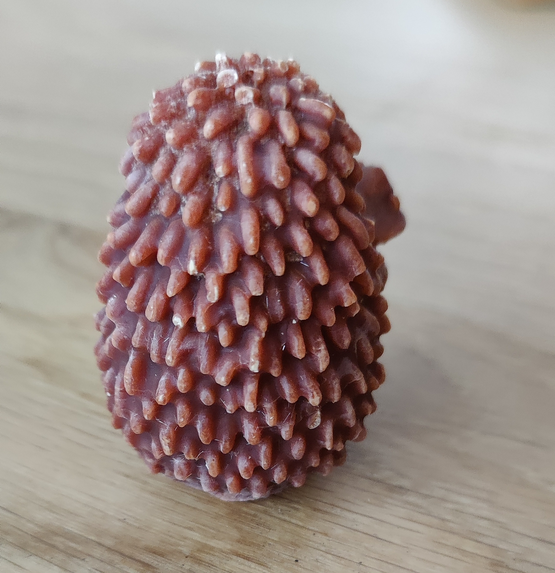 Geurfiguur Egel - 3 varianten - Afbeelding 7