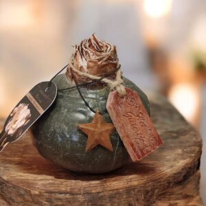 Amaryllis in Wax met extra laag Black Musk - OP=OP!!