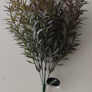 Rozemarijn Bush dark