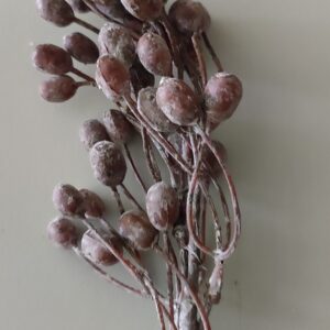 Fall Faux dry pick coffee S