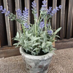 WhatsApp Image 2026-01-23 at 16.58.40 (3)