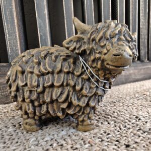 WhatsApp Image 2026-01-23 at 16.58.40 (7)