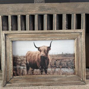 WhatsApp Image 2026-01-23 at 16.58.41 (8)