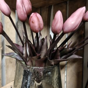 Tulipa - Vol bosje met mooie tulpen