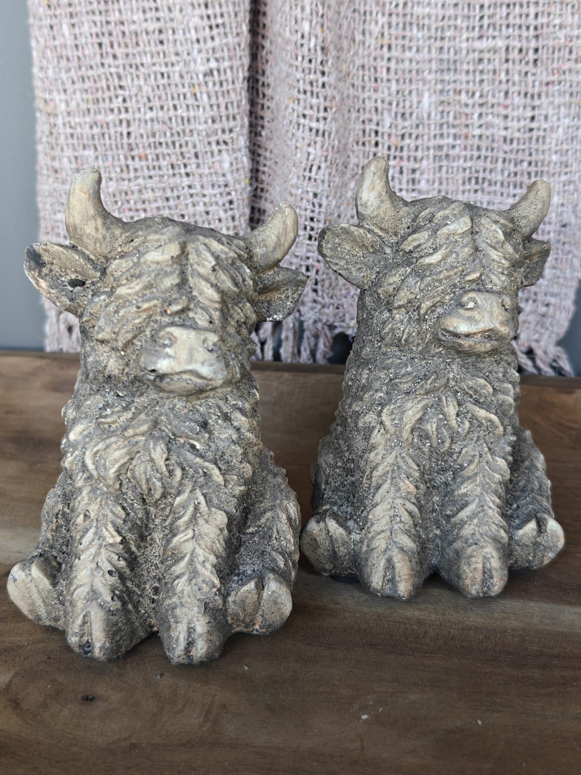 Hooglander zittend Countryfield Polystone - diverse formaten - Afbeelding 2