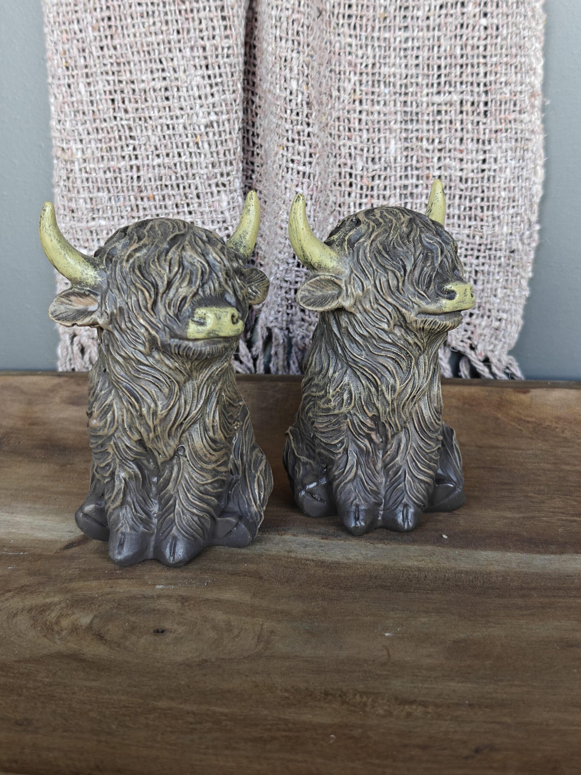 Hooglander zittend - div. formaten - Afbeelding 5