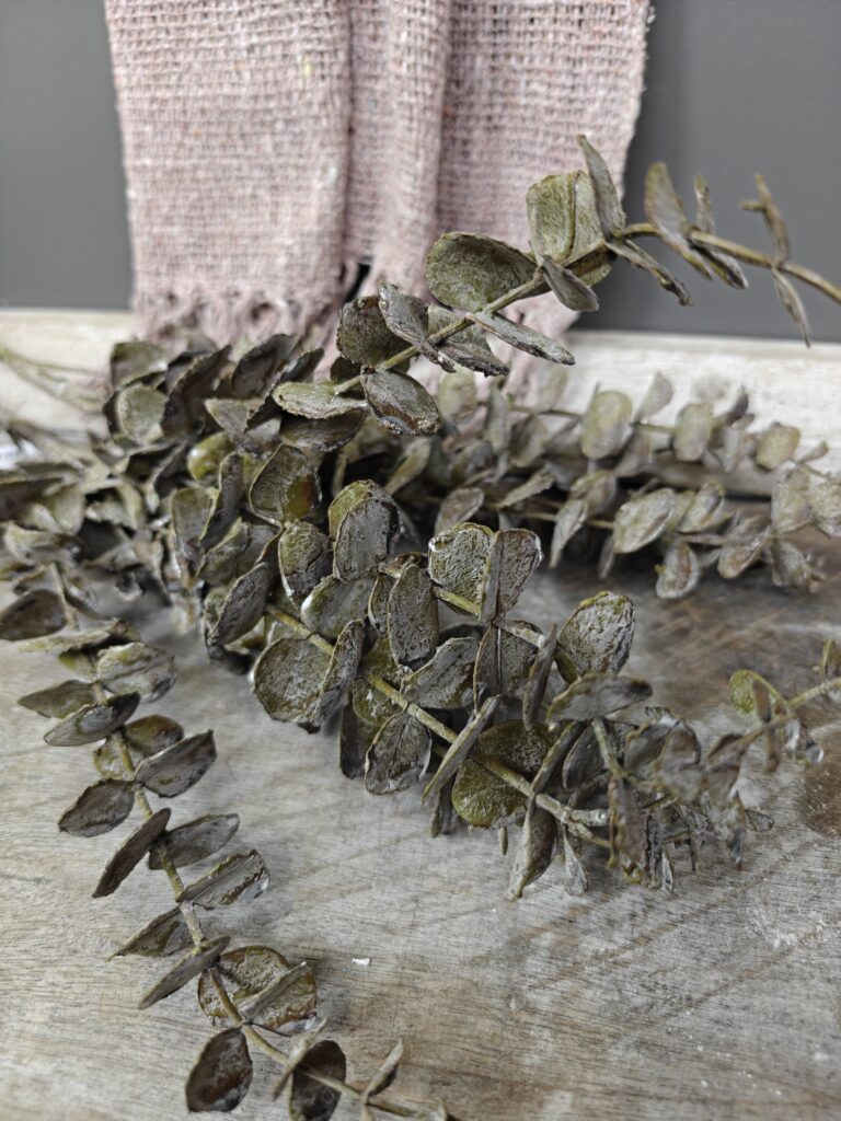 Kunstbloemen Eucalyptus Tak - Suzo